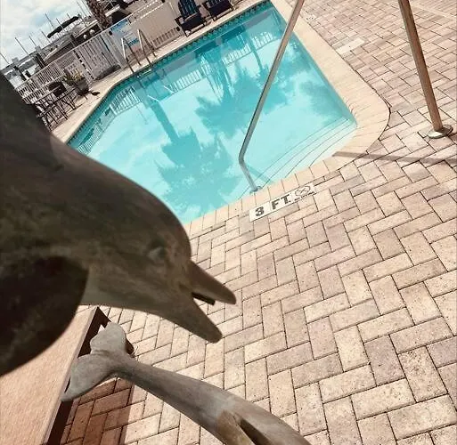 Clearwater Townhome! Holiday home Clearwater Beach